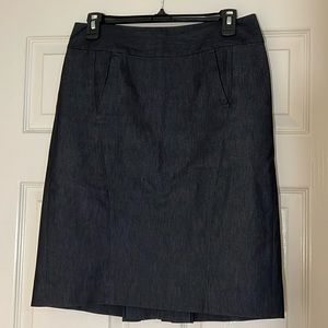 Ann Taylor Skirt